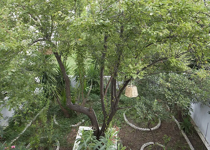 Konukevi Laura İskados